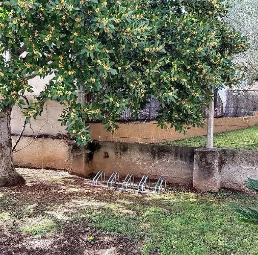 Motas Viladamat